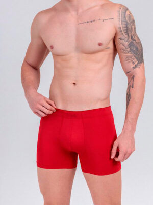Cueca Boxer Adulto Poliéster-Novo Garoto